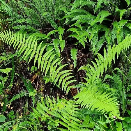 Holiday home The Blue House - Romantic Mountain *