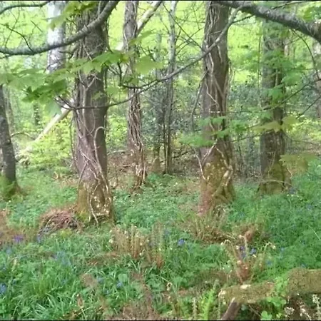 The Blue House - Romantic Mountain