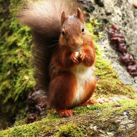 Holiday home The Blue House - Romantic Mountain