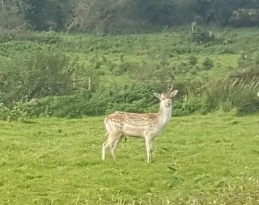 The Blue House - Romantic Mountain *