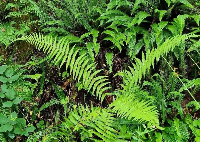 Semesterbostad The Blue House - Romantic Mountain *