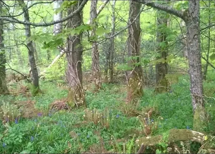 The Blue House - Romantic Mountain