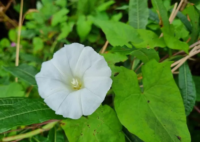 The Blue House - Romantic Mountain بيت للعطل