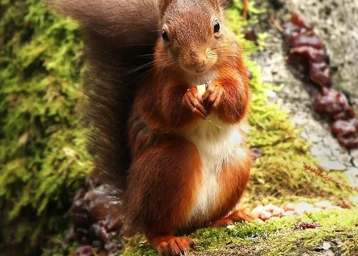 Semesterbostad The Blue House - Romantic Mountain