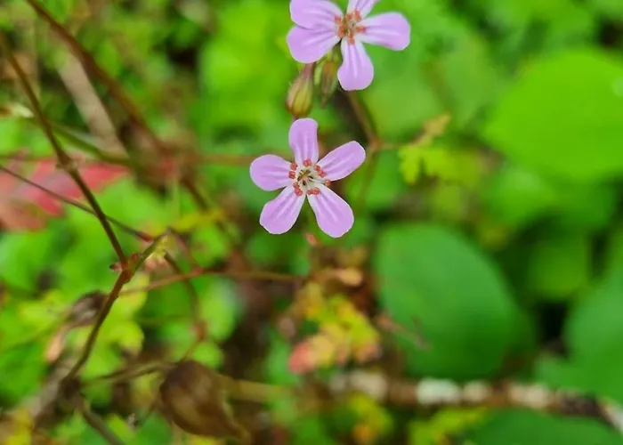 The Blue House - Romantic Mountain بيت للعطل